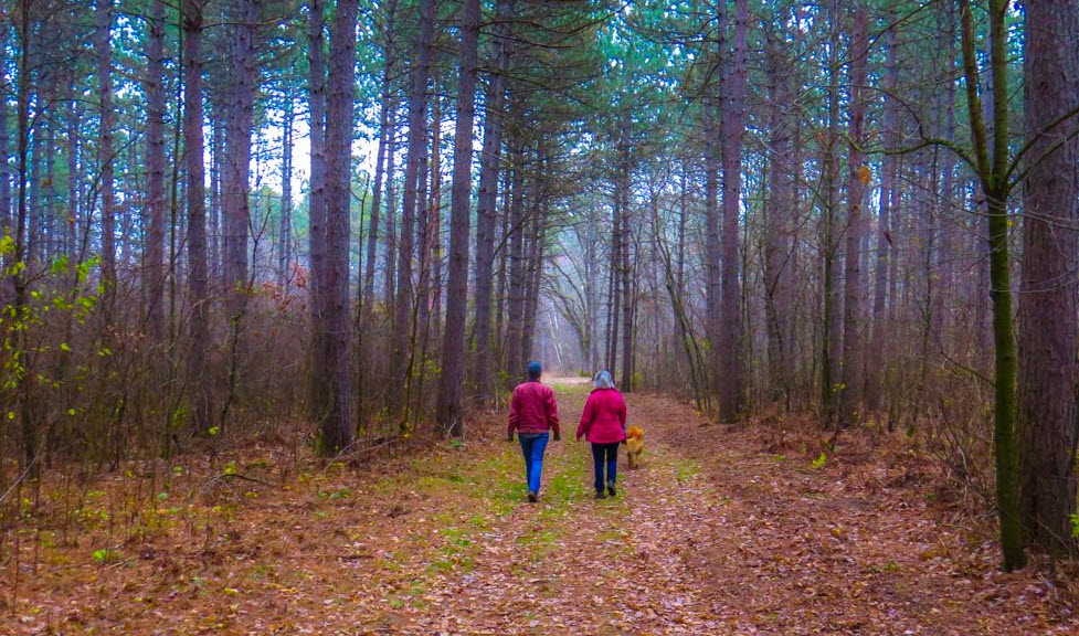 Northland Arboretum, United States